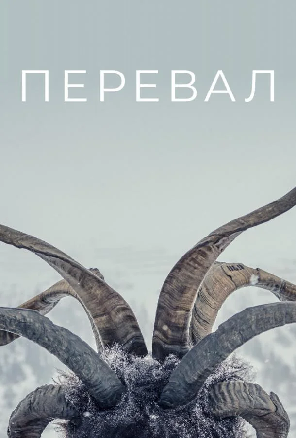 Юлия Йенч, Николас Офчарек, Маттиас Хак, Рони